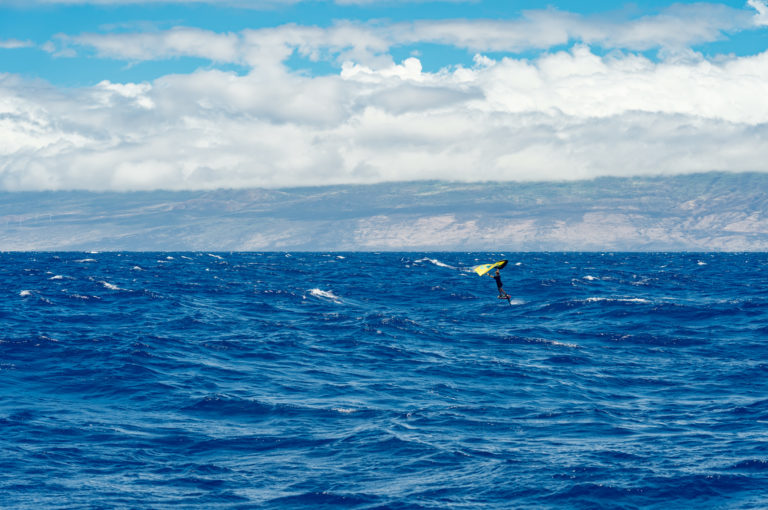 Image for Where will winging take you? Bobo Gallagher’s Island Crossing